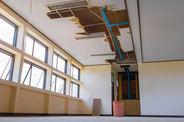 Best Ceiling water damage repair  in Cascade Valley, WA