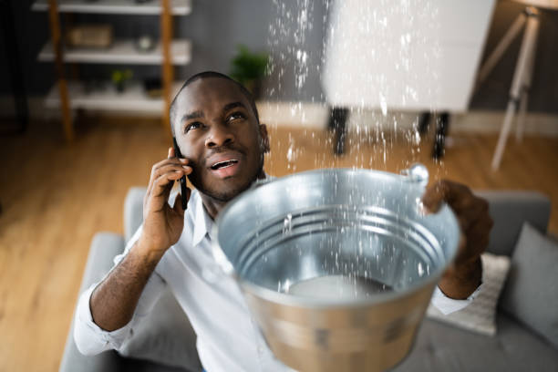 Best Water damage cleanup near me  in Cascade Valley, WA