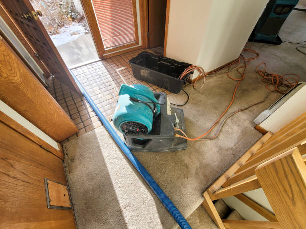 Best Flooded house restoration  in Cascade Valley, WA