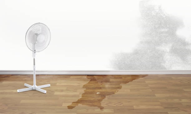Best Sewage cleanup and water damage restoration  in Cascade Valley, WA